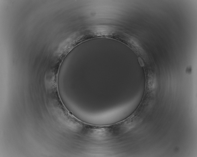 X0000111910411200908171306