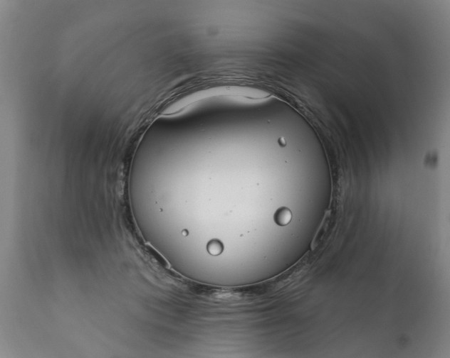 X0000111910413200908171306