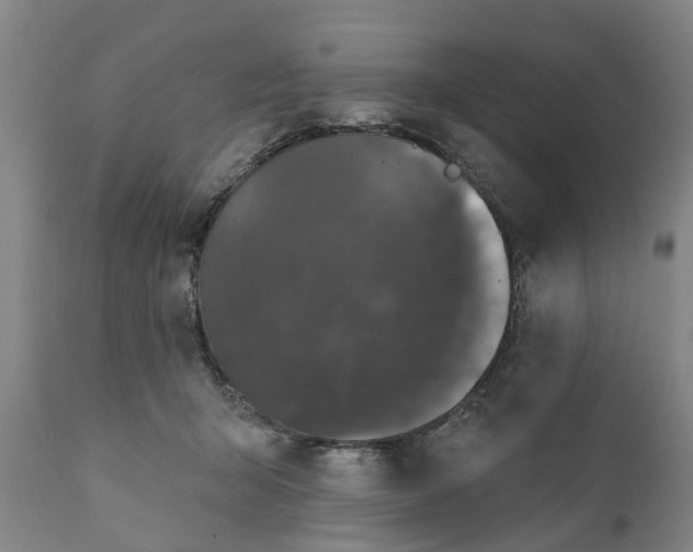 X0000111910415200908171306