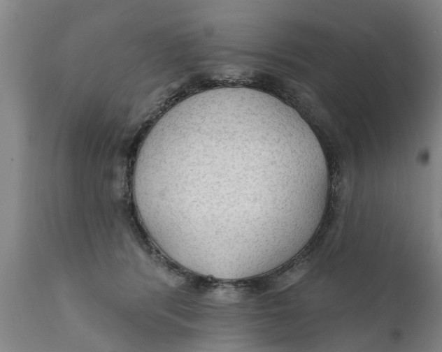 X0000111910416200908171306
