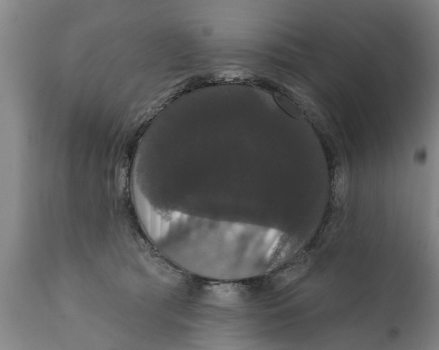 X0000111910417200908171306