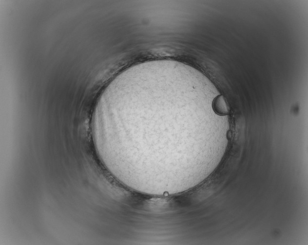 X0000111910418200908171306