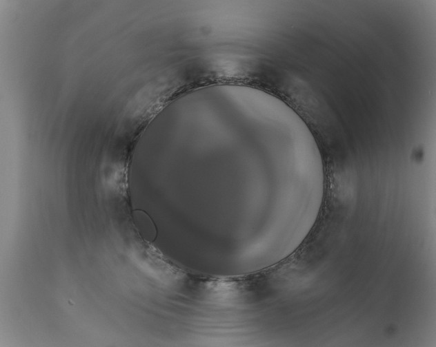 X0000111910419200908171306