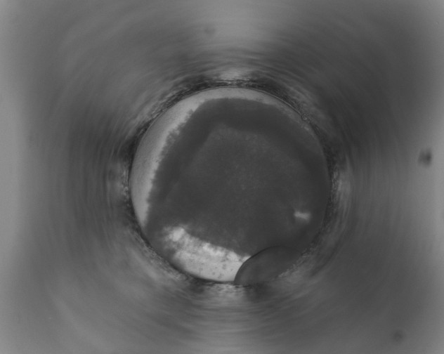 X0000111910421200908171306