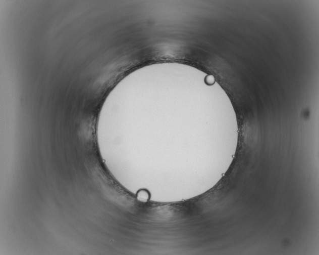 X0000111910423200908171306