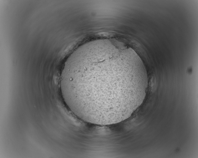 X0000111910424200908171306