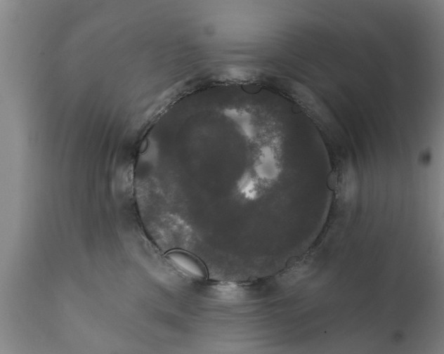 X0000111910425200908171306