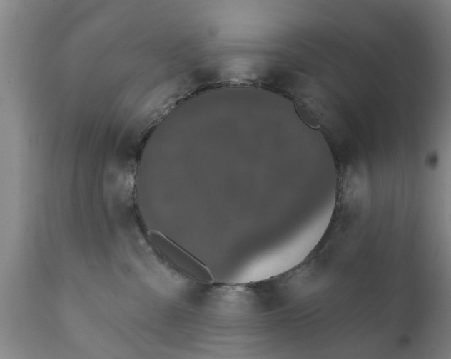 X0000111910427200908171306