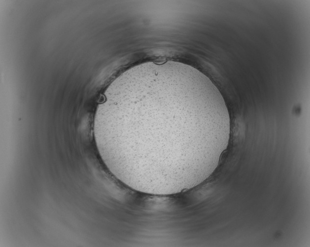 X0000111910428200908171306
