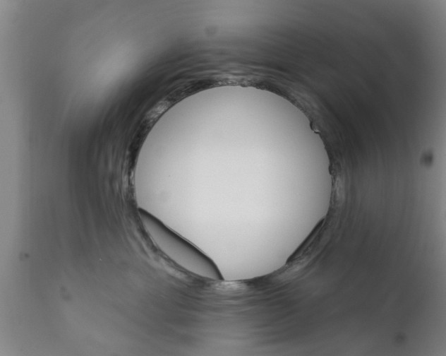 X0000111910429200908171306