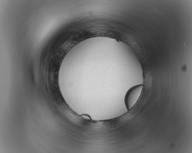 X0000111910430200908171306