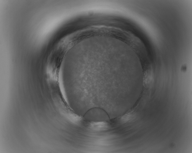 X0000111910431200908171306