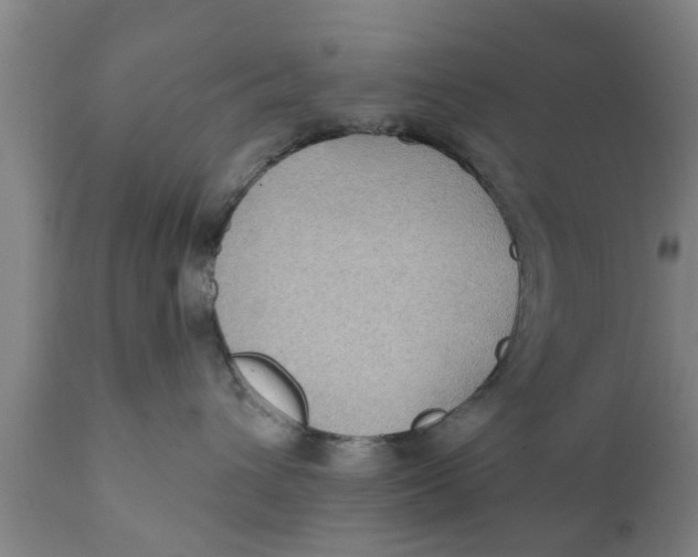 X0000111910432200908171306
