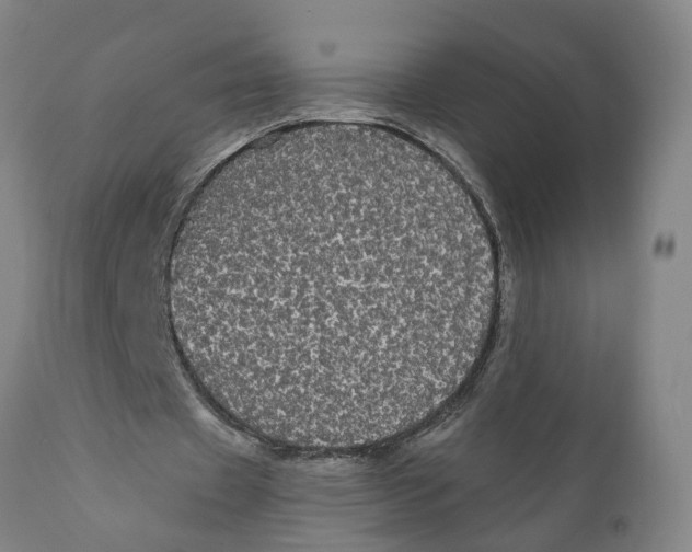 X0000111910433200908171305