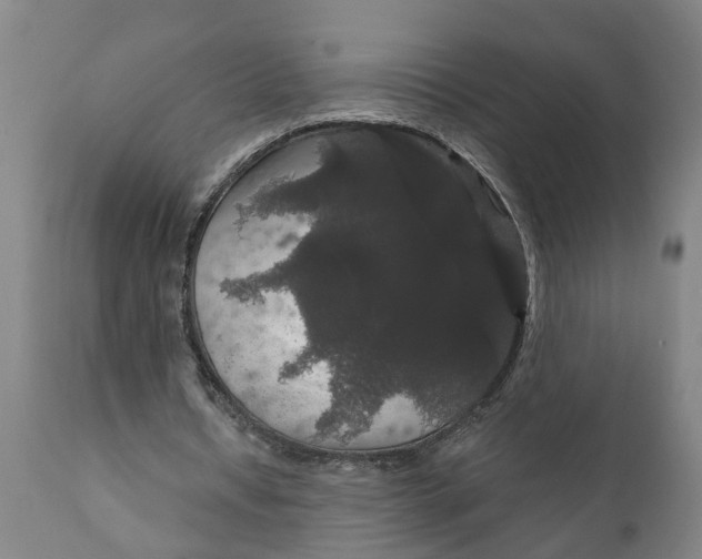 X0000111910434200908171305