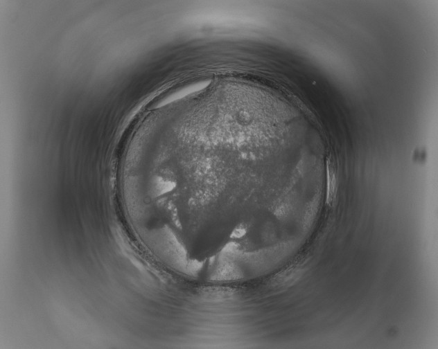 X0000111910435200908171305