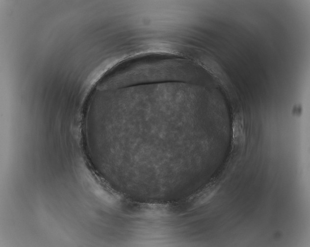 X0000111910436200908171305