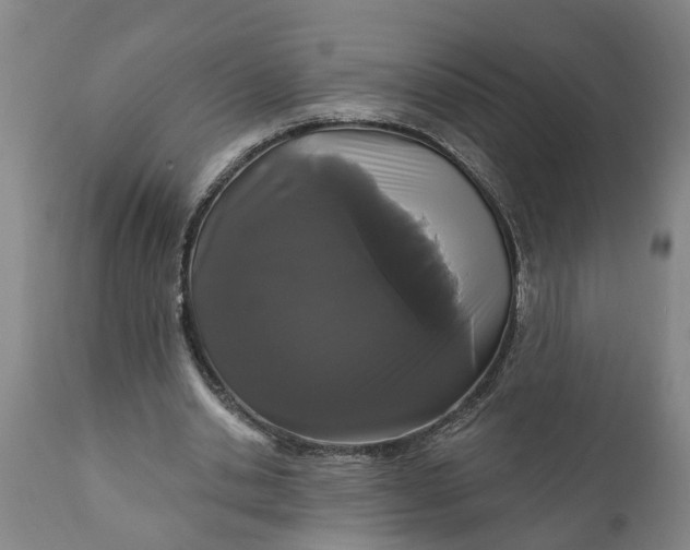 X0000111910438200908171305