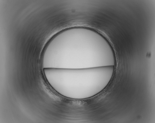X0000111910439200908171305