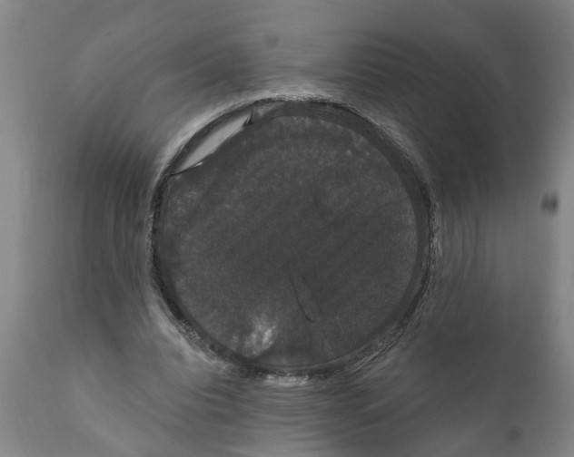 X0000111910440200908171305