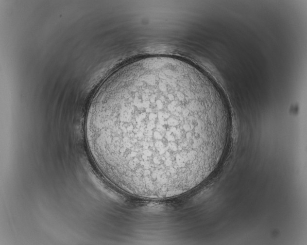 X0000111910441200908171305