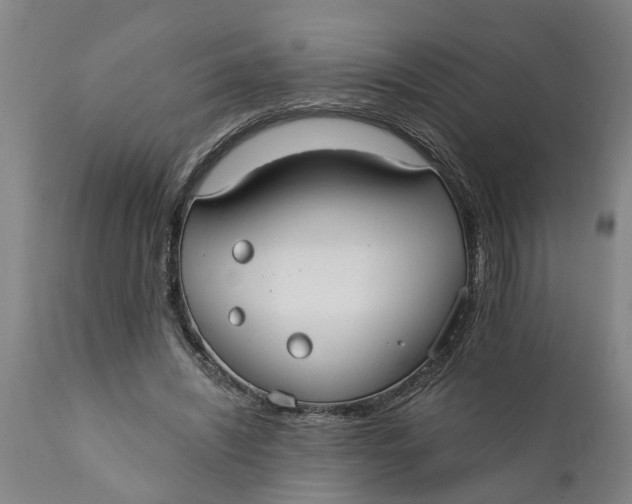 X0000111910444200908171305