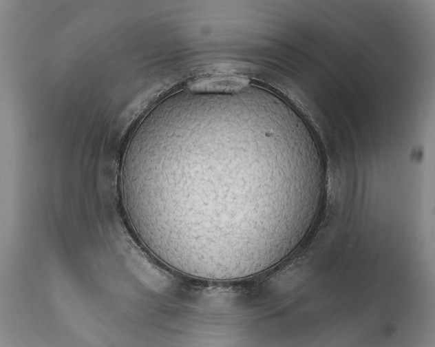 X0000111910445200908171305