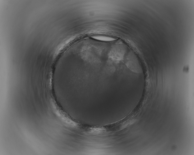 X0000111910446200908171305