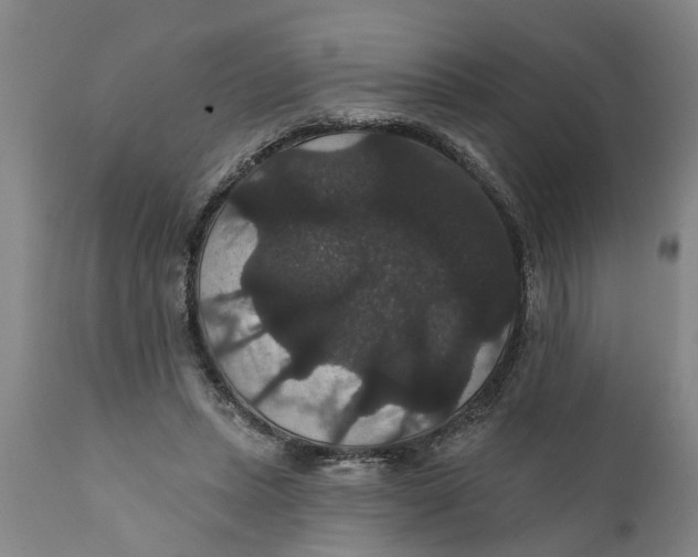 X0000111910447200908171305