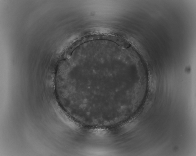 X0000111910449200908171305