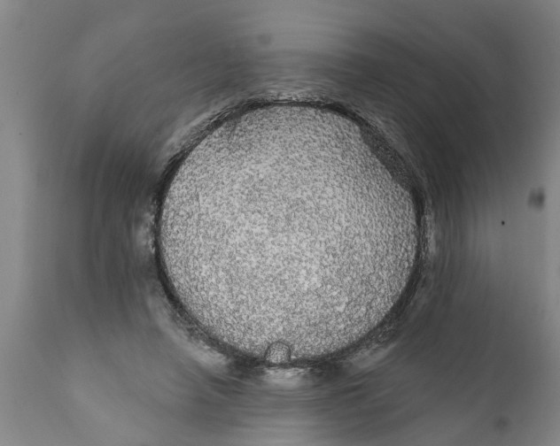 X0000111910450200908171305