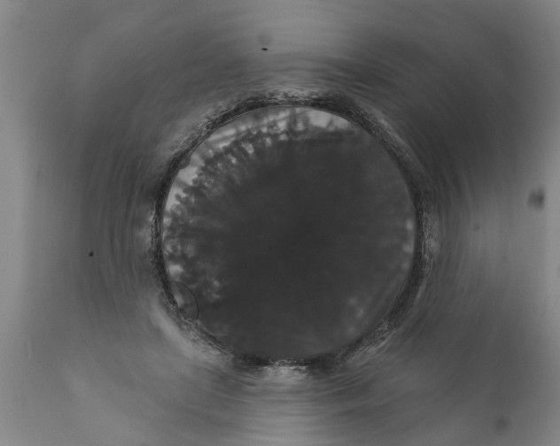 X0000111910451200908171305