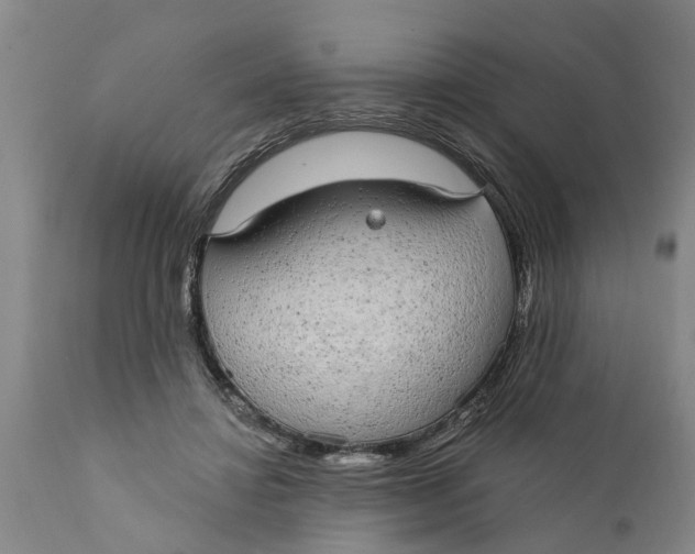 X0000111910452200908171305