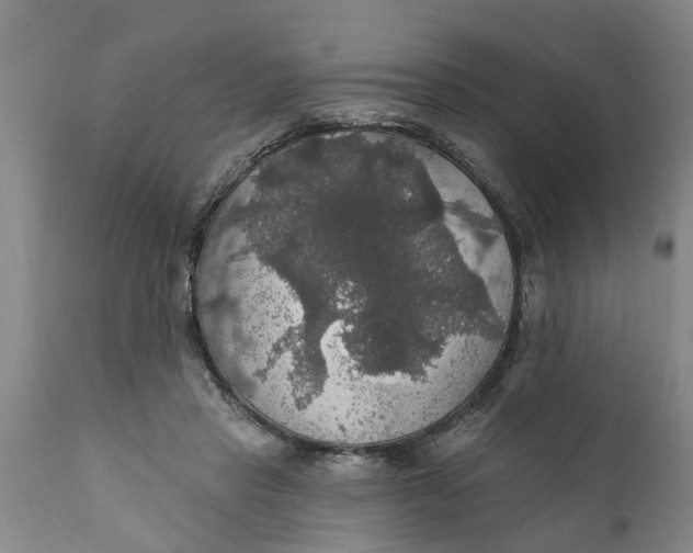X0000111910453200908171305
