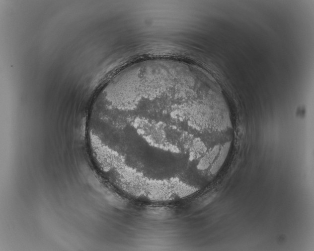 X0000111910454200908171305