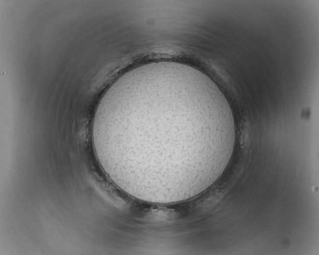 X0000111910455200908171305