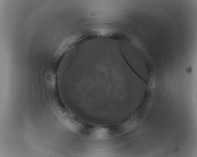 X0000111910456200908171305