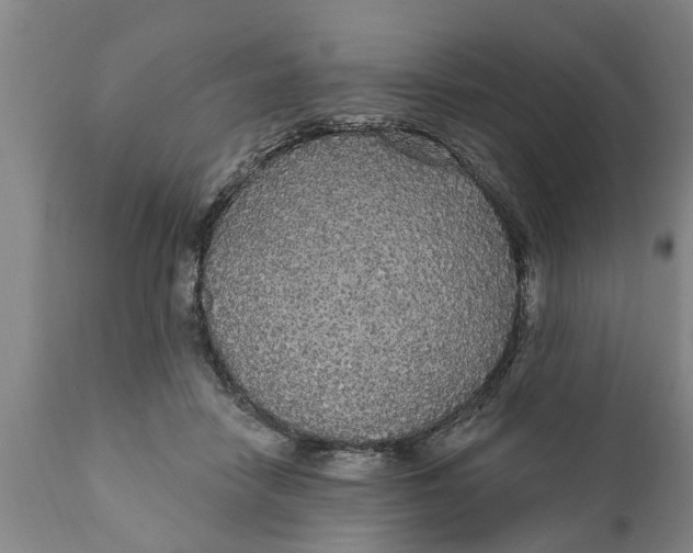 X0000111910458200908171305