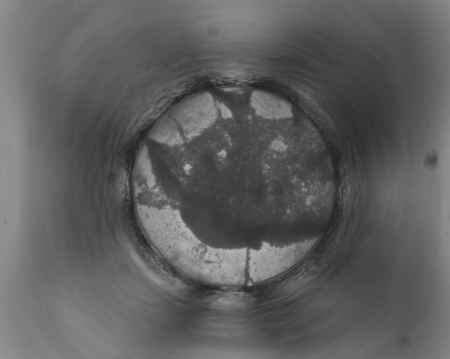 X0000111910459200908171305