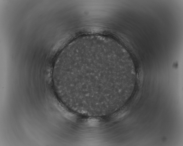 X0000111910462200908171305