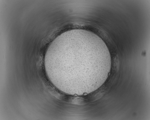 X0000111910463200908171305