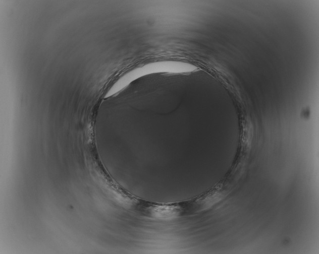 X0000111910465200908171306