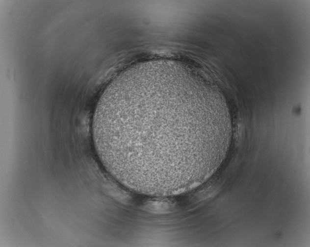X0000111910466200908171306