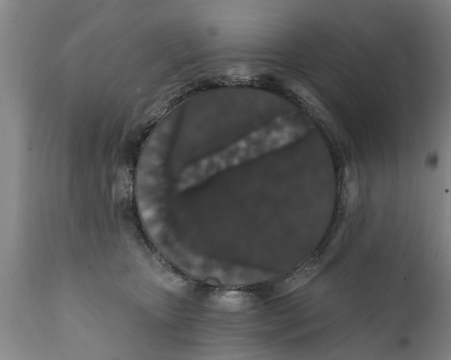 X0000111910467200908171306
