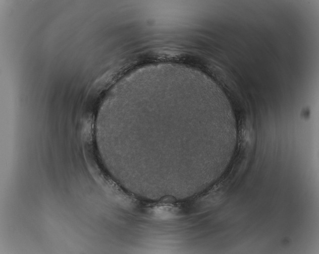 X0000111910468200908171306