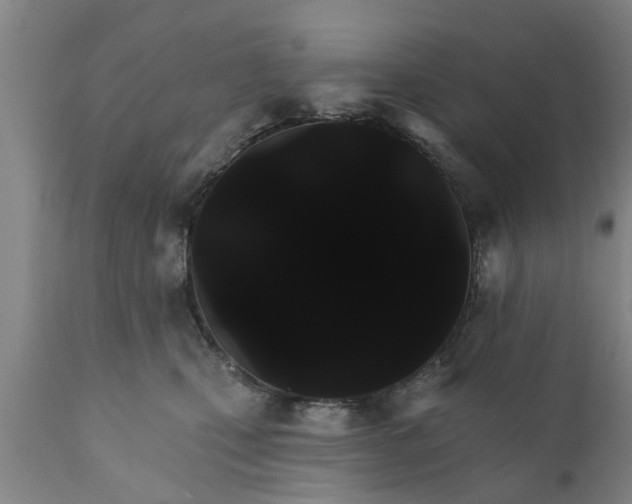 X0000111910471200908171306