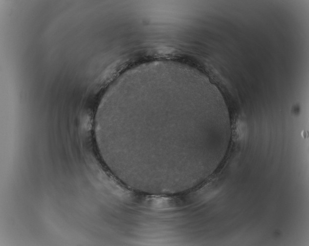 X0000111910472200908171306