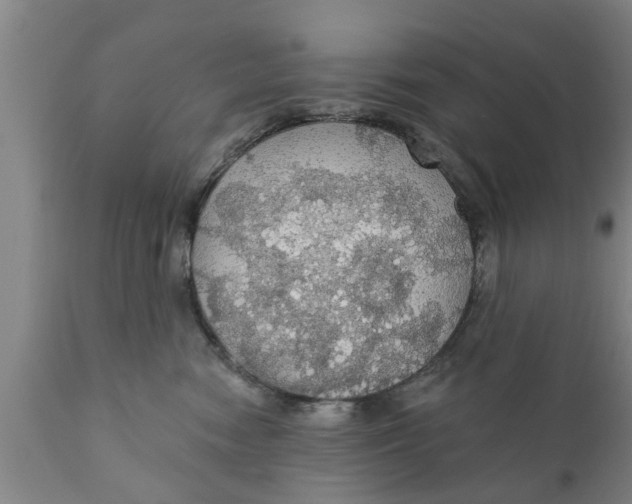 X0000111910474200908171306