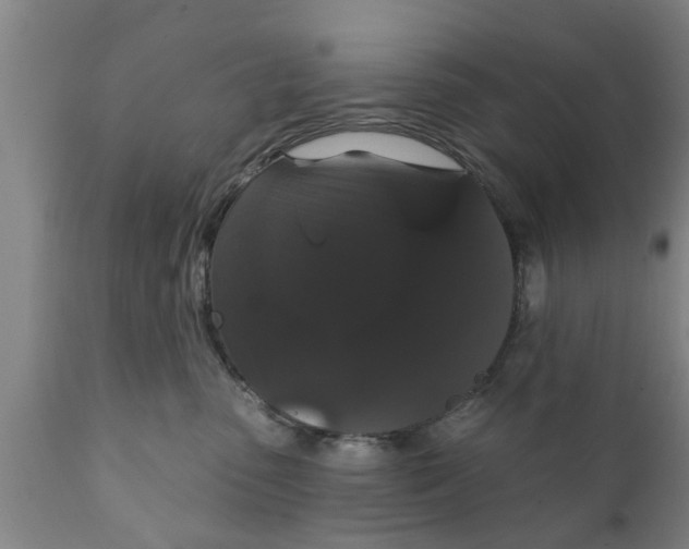 X0000111910475200908171306