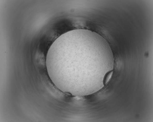X0000111910477200908171306
